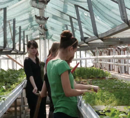 Študenti pri práci v skleníku V študijnom programe farmácia v súčasnej dobe katedra zabezpečuje výučbu predmetov: farmaceutická botanika, farmakognózia a produkcia liečivých rastlín.