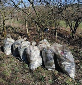 Prieskum litteringu Spoločnosť ENVI - PAK skúmala v roku 2020 v dvoch fázach zloženie litteringu (voľne pohodeného odpadu) v 13 lokalitách naprieč Slovenskom - v Alekšinciach, CHKO Biele