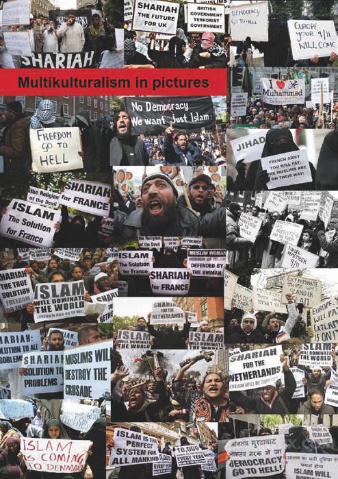 Multikulturalizmus v