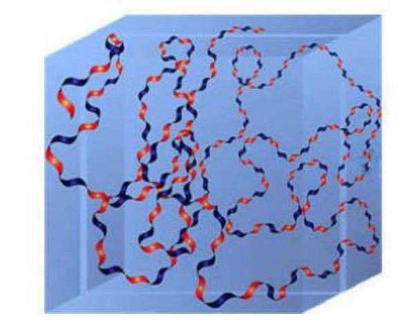 Obr. 8: Špirálová štruktúra hyaluronanu v roztoku (modré vlákno predstavuje hydrofilnú štruktúru a červené hydrofobnú štruktúru) [19] Roztoky hyaluronanu vykazujú nezvyčajné reologické vlastnosti.