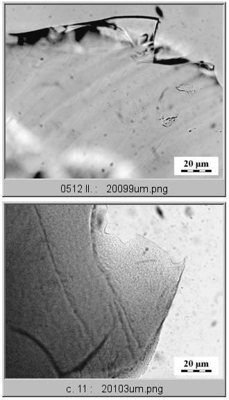 Obr. 5.6: Fotky spolymerizovaných vzoriek pripravené pomocou optickej mikroskopie.