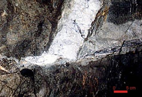 Location of occurrence of macroscopic bismuthinite with tellurides in the Dúbrava deposit (migmatit/migmatite, kremenná žila s pyritom a bizmutinitom/quartz vein with pyrite and bismuthinite,