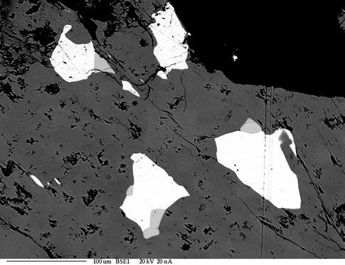 498 Mineralia Slovaca, 41 (2009) Obr. 10. Drobné zrná bizmutu (biely) s joséitom-a (svetlosivý) v bizmutinite (tmavosivý). Kremeň je čierny (BEI). Fig. 10. Small grains of bismuth (white) with joséite-a (grey) in bismuthinite (dark grey).