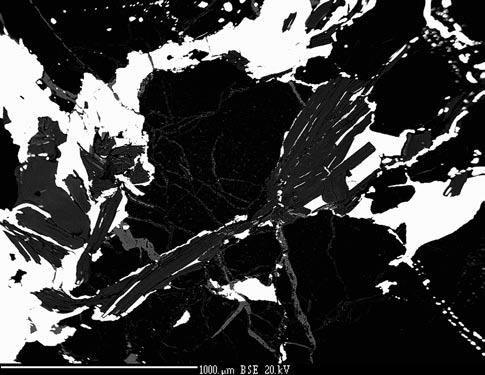 D. Ozdín et al.: Chemické zloženie Bi-Te-S minerálov z ložiska Dúbrava v Nízkych Tatrách 499 Obr. 12. Pozícia analýz joséitu-a z Dúbravy v rade pilsenit ikunolit pre teluridy bizmutu s pomerom kat.