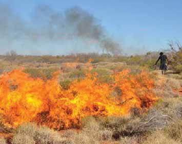 Oheň je neoddeliteľne spätý s aborigénnou kultúrou a vnímaním úlohy ľudí v ekosystéme púšte. V západoaustrálskej púšti pôvodní obyvatelia vypaľujú malé plochy zeme.