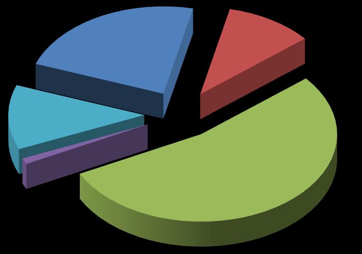 jednotlivcom KAPITÁLOVÉ VÝDAVKY 62,70% Zdroj: Výkaz k SoH