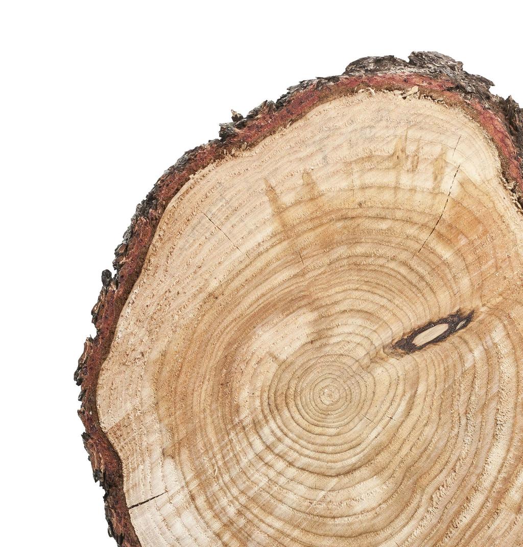EKOWOOD VÝROBCA S GLOBÁLNYM PÔSOBENÍM Drevo je jedna z najprirodzenejších surovín. Práve preto dokážu drevené podlahy každý interiér výrazne oživiť a dodať mu nefalšovaný prírodný štýl.