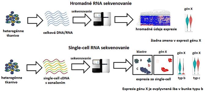 Obr. 5. Single-cell RNA sekvenovanie Porovnanie medzi hromadným RNA sekvenovaním (tzv.