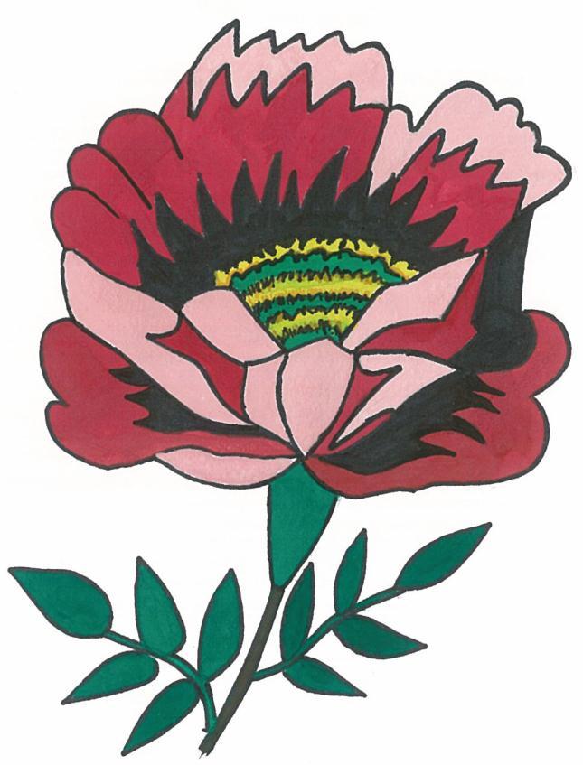 Tylové šatky M a ľ u j p o d ľ a č í s e l o o o Na obrázku je vyobrazený kvet ruže, ktorý je súčasťou výšivky na ženskej sviatočnej tylovej šatke z Chlebníc.
