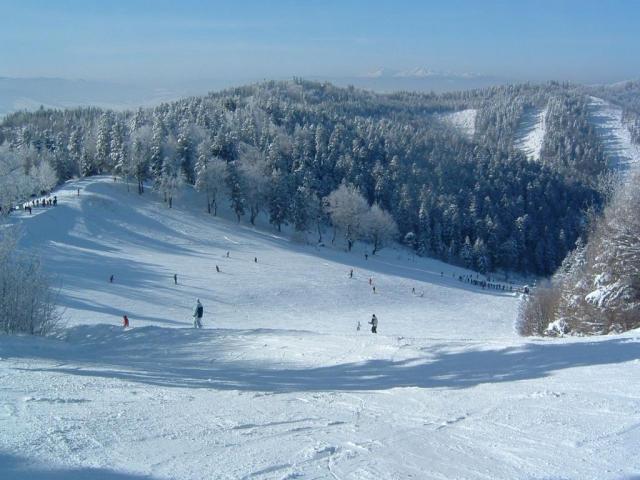 V areáli strediska Drienica sa nachádzajú 11 vlekov. Rodičia s deťmi majú možnosť využiť detský vlek, prípadne lyžiarsku škôlku. K ponuke je aj večerné lyžovanie.