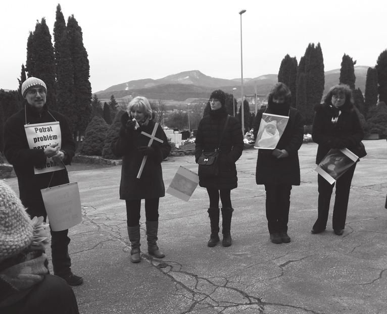11 Hlasy z Kríža Prvý žiarsky pochod za život sa v Žiari nad Hronom konal 25.marca 2013, presne v Deň počatého dieťaťa. Organizovalo ho OZ Tóbi a Holúbky z kríža.