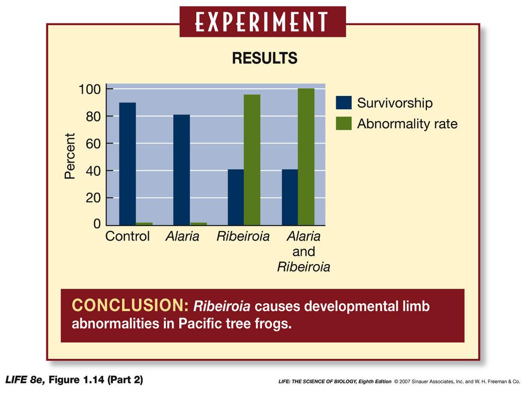 Schéma vedeckého experimentu VÝSLEDKY PREŽÍVANIE DEFORMÁCIE % Kontrola Alaria Ribeiroia Alaria+ Ribeiroia ZÁVER: