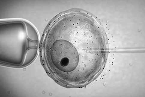 Jednotlivé techniky asistovanej reprodukcie sú buď homológne teda také, ktoré využívajú pohlavné bunky partnerov alebo sú heterológne, kedy sa používajú darcovské vajíčka alebo darcovské spermie