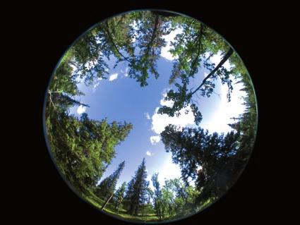 Ve d e c k ý vý s k u m Trvalo udržateľné využívanie lesa vo vzťahu k ekologickej stabilite krajiny Biosférickej rezervácie - Chránená krajinná oblasť Poľana (VEGA, koordinátor) Trvalo udržateľné