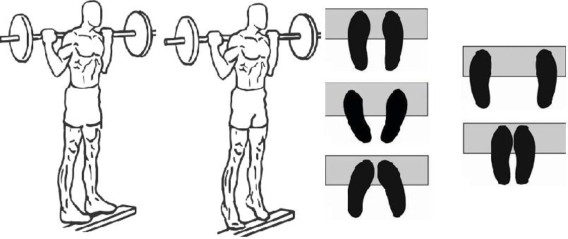 Takzvané výpony je možné charakterizovať ako plantárnu flexiu, ktorá využíva lokálnu prácu lýtkových svalov a dorziflexiu zameranú na svaly predkolenia, predný a zadný píšťalový sval, naťahovače