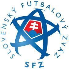 ročníku 2012/2013 Určené : - futbalovým klubom -