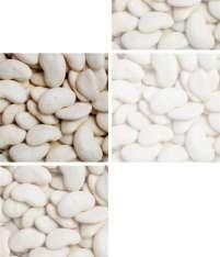 Blokátor uhľohydrátov Výťažok z bielych fazulí Hlavné zloţky: výťažok z bielych fazúľ, bezvodný kofeín Fazule sú súčasťou