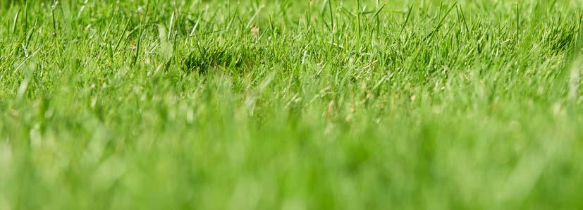 STAROSTLIVOSŤ O TRÁVNIK 35 JAHRE GARANTIE HRABLE NA TRÁVNIK VERTIKUTAČNÉ HRABLE Veľkoplošné odstránenie trávy, hrebeň pri tom zadržuje