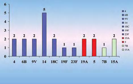 7 zápalov pľúc, u nich sa zisťujú ako pôvodcovia nevakcinačné sérotypy 1, 3 a 19A) (viď kazuistika na str. 25). Rozširujú sa nevakcinačné sérotypy rezistentné na antibiotiká (6A, 19A).