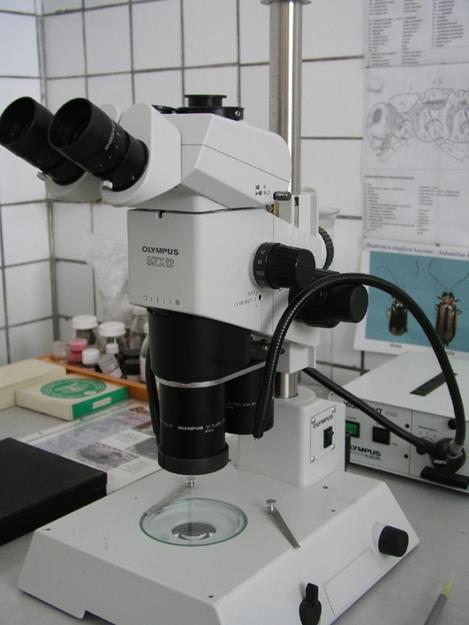 na mikroskope a počítačovým programom Analysis, ktorý
