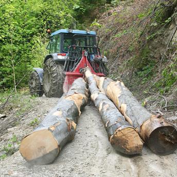 Technik pre ťažbovú činnosť v lesníctve Charakteristika Technik pre ťažbovú činnosť v lesníctve usmerňuje a organizuje ťažbovú činnosť na zverenom úseku hospodárenia v rámci komplexného spracovania
