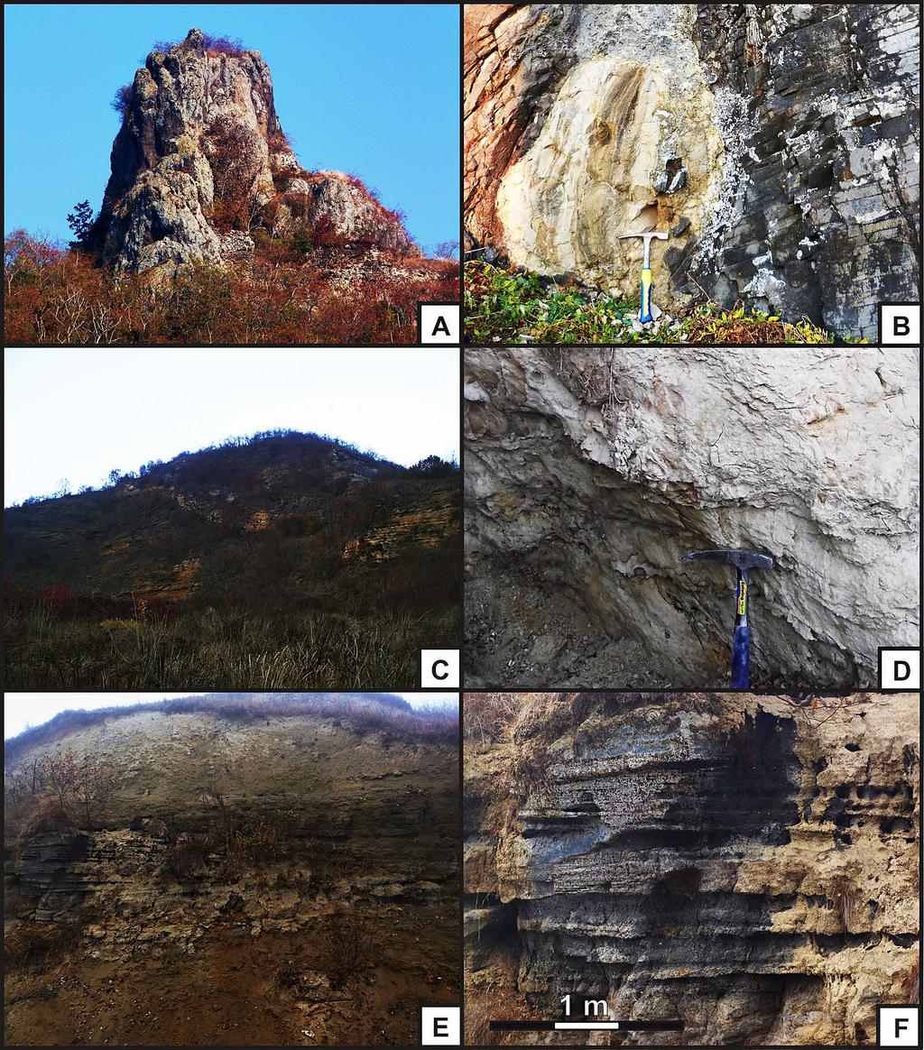 mineralogická charakteristika apatitu z bazaltových maarov na južnom slovensku 21