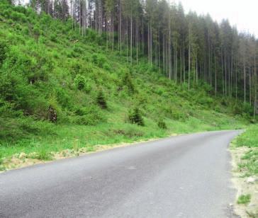 reportáž z lesnej správy pické pre svahy v okolí Čierneho Balogu (Krám je jeho časťou pozn. autora) je, že sú strmé od dolín. Na hrebeňoch sú miernejšie.