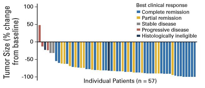 Tabuľka 13 Výsledky štúdie SG035-0004 u pacientov s salcl Najlepšia klinická odozva (N = 58) IRF N (%) (95 % IS) Celková odpoveď (CR + PR) 50 (86) 74,6, 93,9 Kompletná remisia (CR) 34 (59) 44,9, 71,4