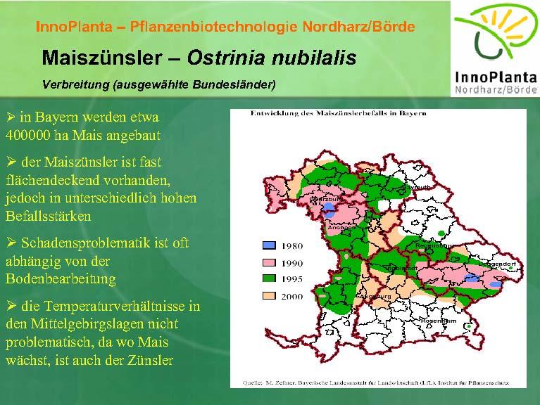 Boj proti škodcom (Ostrinia nubilalis) Prečo nepoznajú v dolnom Rottale problém