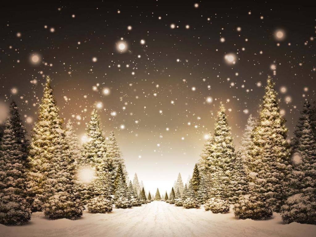 Vianočná básnička Z večernej oblohy sa sype hodvábny sneh, radosť vládne vôkol nás. Pod snehom spí starý orech, akoby sa zrazu zastavil čas. Vianoce sú predo dvermi, kúzlo lásky všetkých zmení.