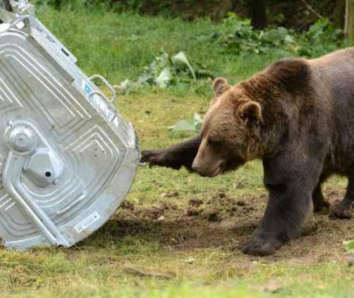 Prehľad kampaní Slobody Zvierat I DIVOŽIJÚCE ZVIERATÁ Dôvody, prečo sa medvede stávajú synantropnými (kontajnerovými) zvieratami sú viaceré: Medvede sú ochudobňované o úkrytové možnosti, čím sú