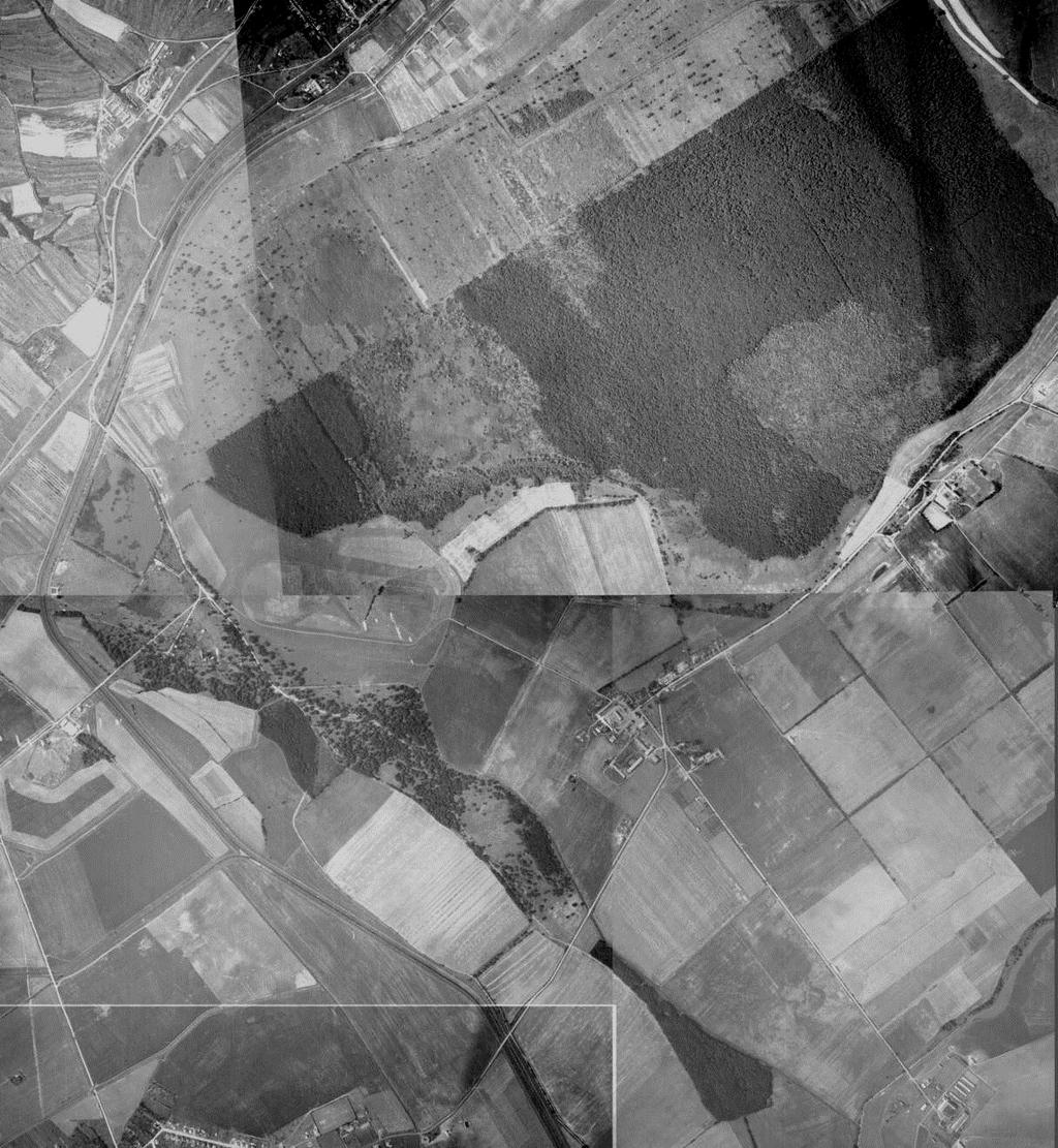 Obrázok 8 Územie Šúru v roku 1961: farebné šípky označujú miesta s najviditeľnejšími zmenami na sledovanom území: žltá- Š. lúky, čierna- okolie Š.