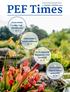 PEF Times 3. VYDÁNÍ KVĚTEN 2019 Cesta kolem světa s Ing. Hazuchovou str. 2 Zajímavosti z našeho arboreta! str. 12 Co si nejčastěji kupujeme v PEF kant